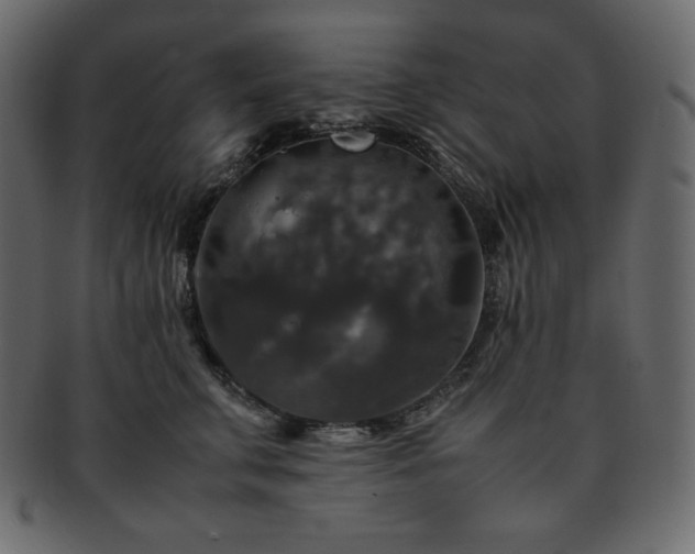 X0000093370711200710191116