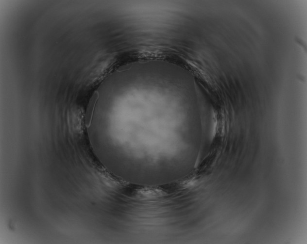 X0000093370712200710191116