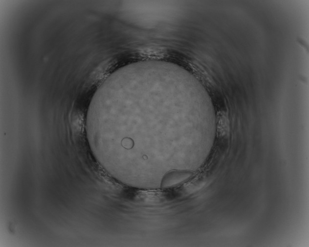 X0000093370713200710191116