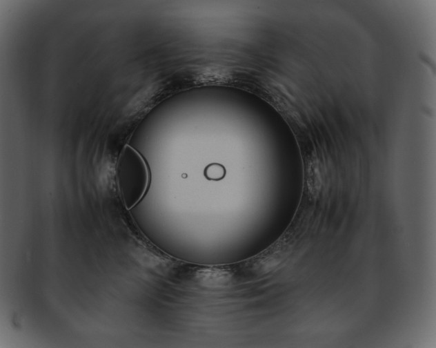 X0000093370714200710191116