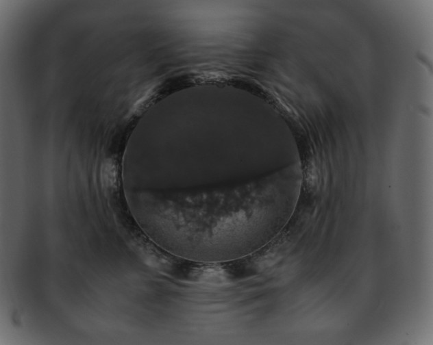 X0000093370715200710191116