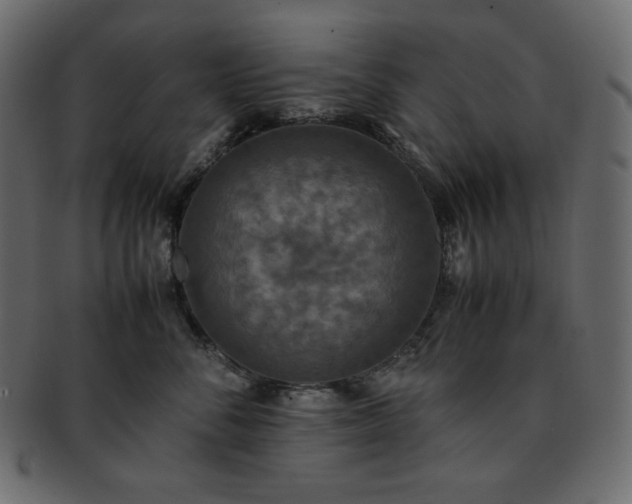 X0000093370716200710191116