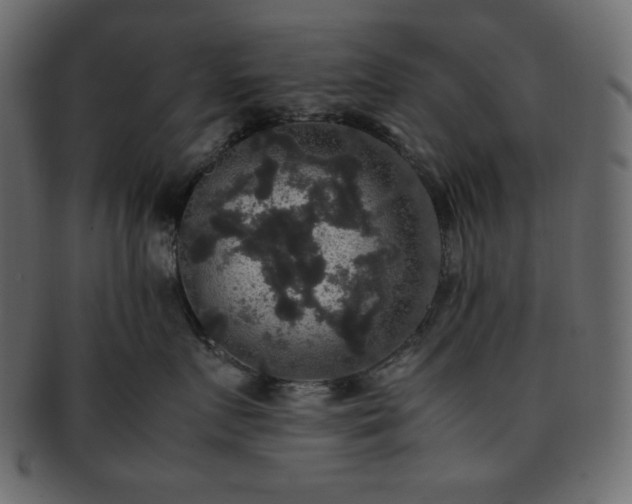 X0000093370719200710191116