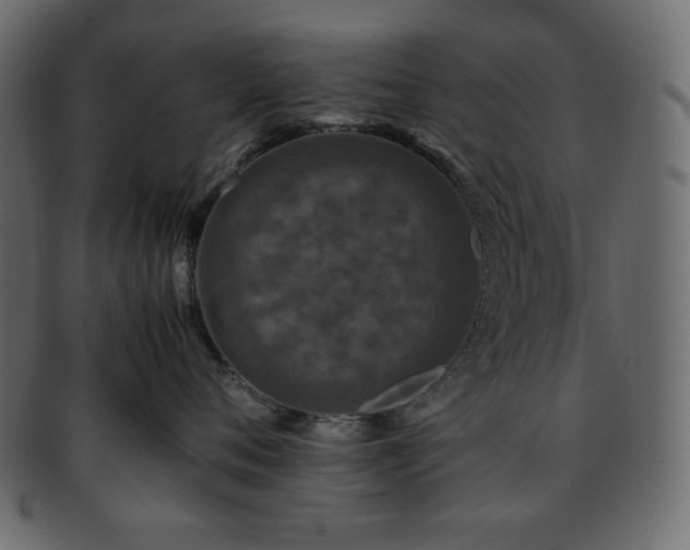 X0000093370720200710191116