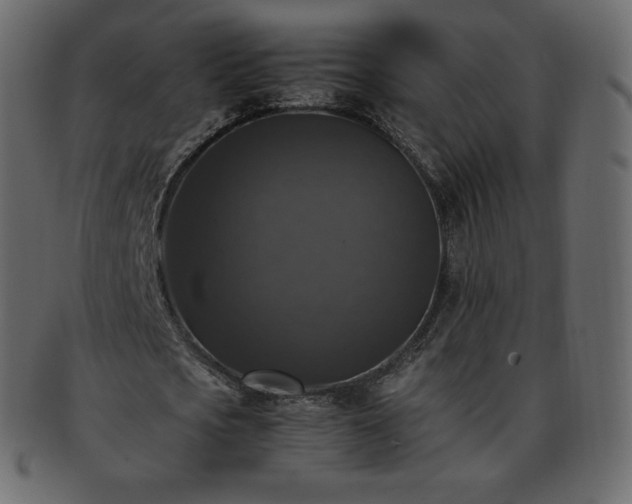 X0000093370721200710191115