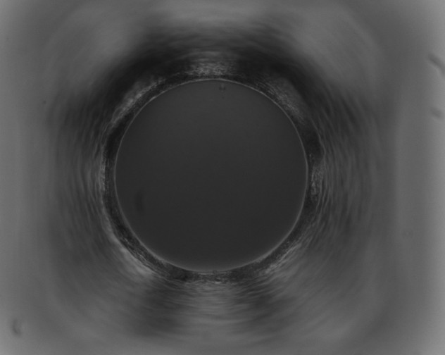 X0000093370722200710191115