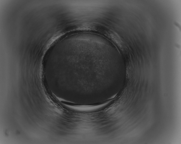 X0000093370724200710191115