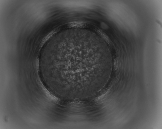 X0000093370725200710191115