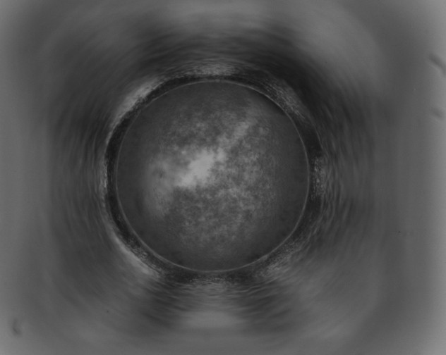 X0000093370726200710191115