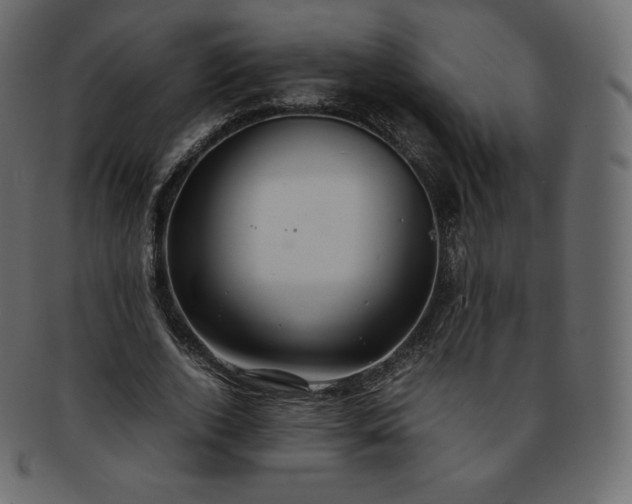 X0000093370728200710191115