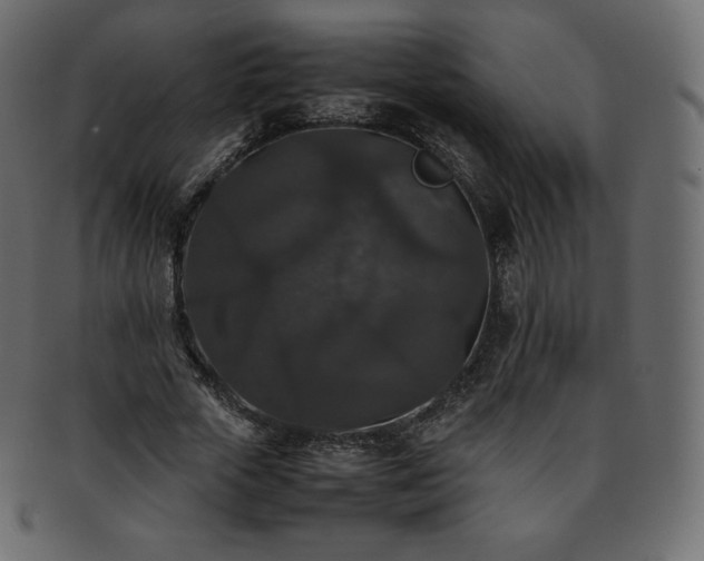 X0000093370729200710191115