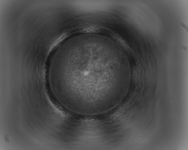 X0000093370730200710191115