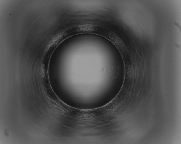 X0000093370731200710191115