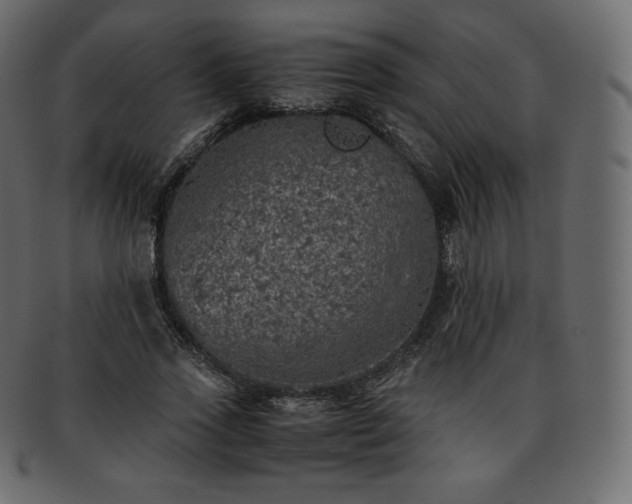 X0000093370733200710191115