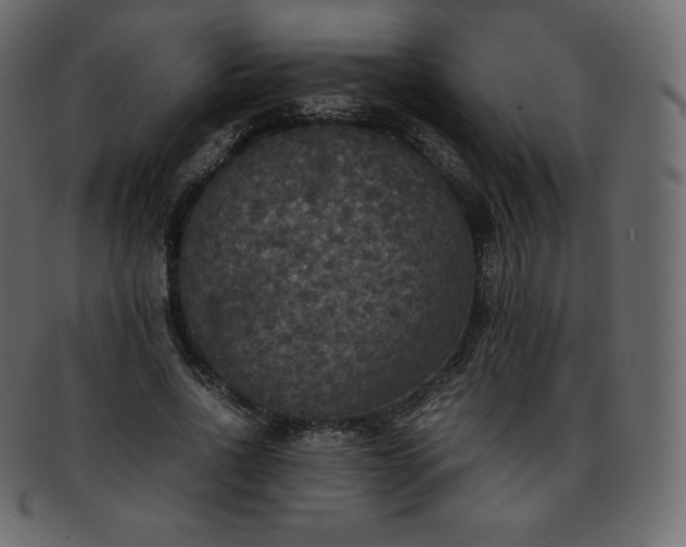 X0000093370734200710191115