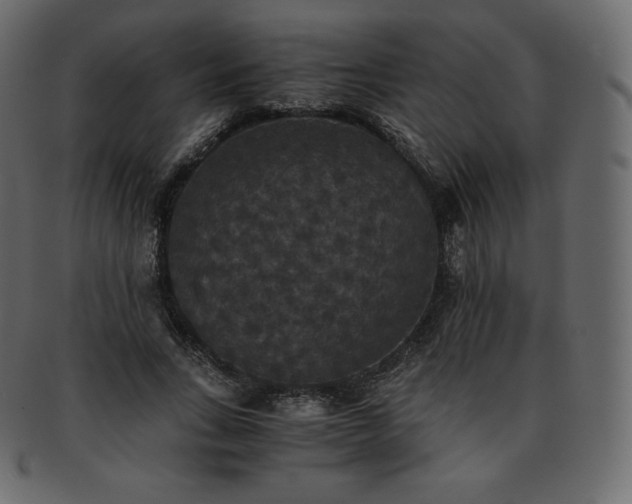 X0000093370735200710191115