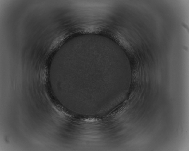 X0000093370736200710191115