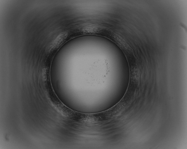 X0000093370738200710191115