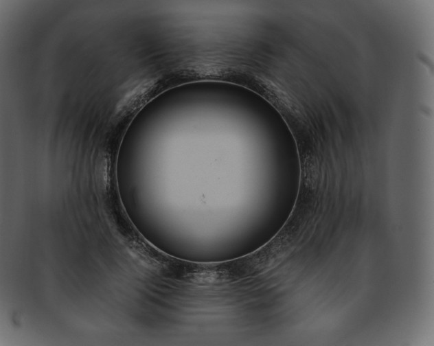 X0000093370740200710191115