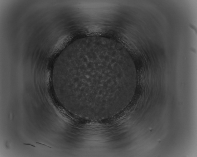 X0000093370742200710191115