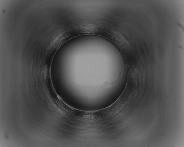 X0000093370744200710191115