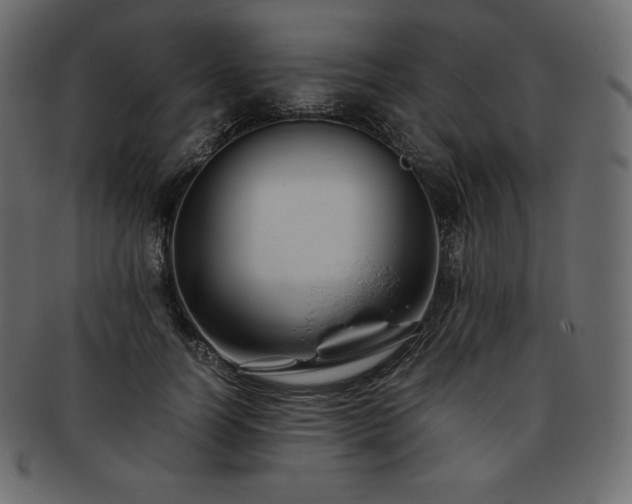 X0000093370746200710191115