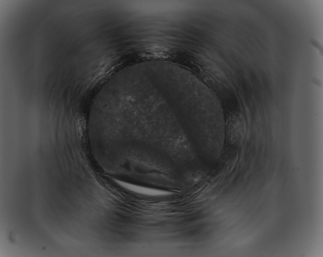 X0000093370747200710191115