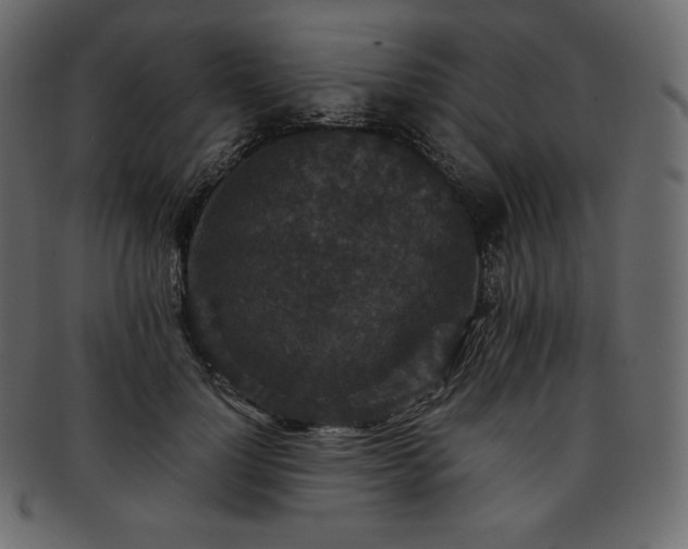 X0000093370748200710191115