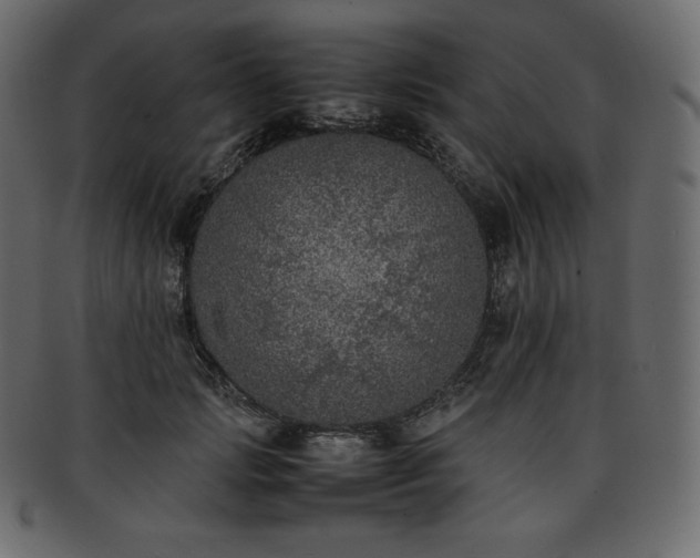 X0000093370749200710191115