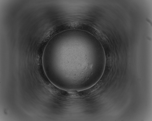 X0000093370750200710191115