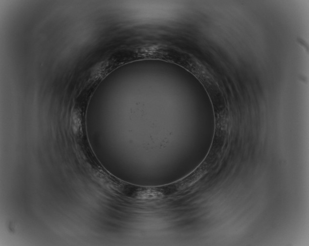 X0000093370754200710191116