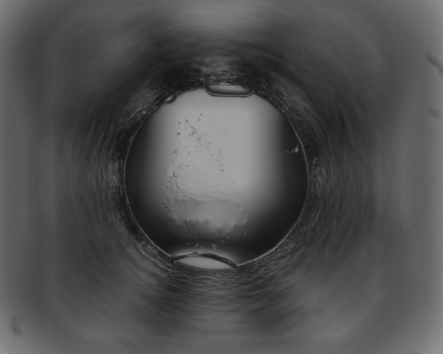 X0000093370756200710191116