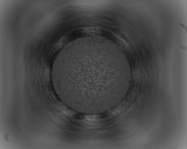 X0000093370757200710191116