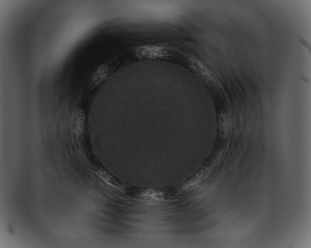 X0000093370760200710191116