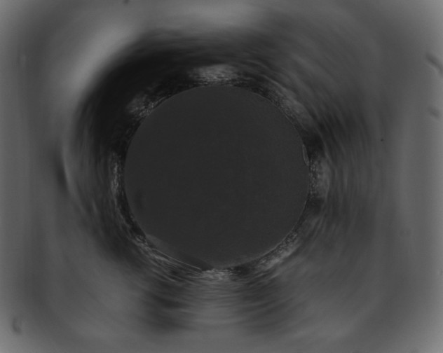 X0000093370762200710191116