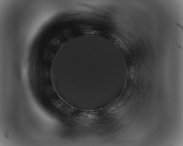 X0000093370763200710191116