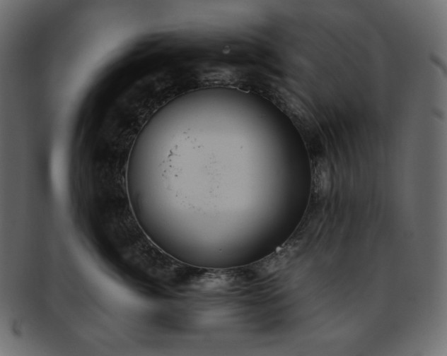 X0000093370764200710191116