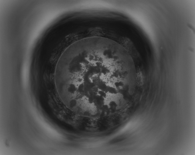 X0000093370765200710191116