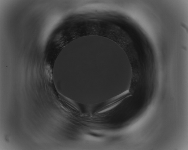 X0000093370766200710191116