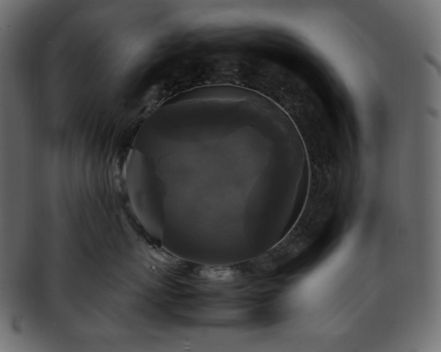 X0000093370767200710191116