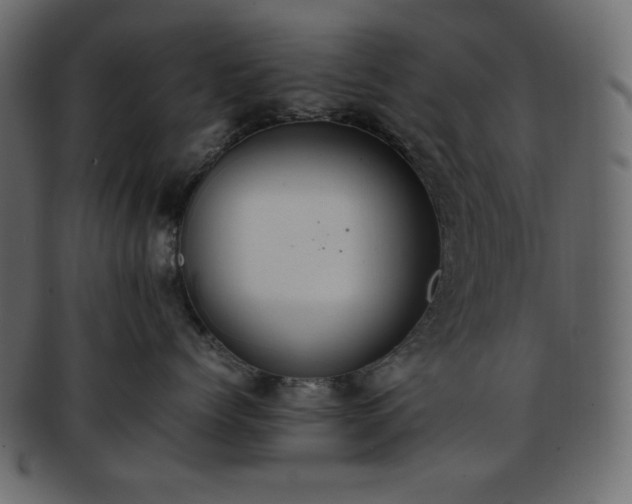 X0000093370768200710191116