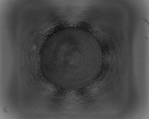 X0000093370769200710191115