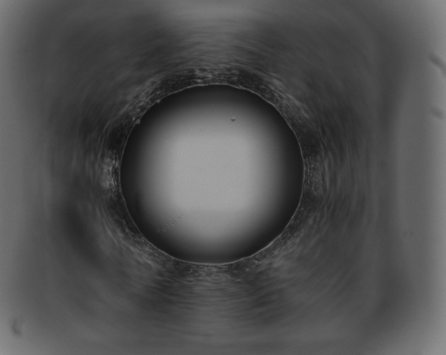 X0000093370770200710191115