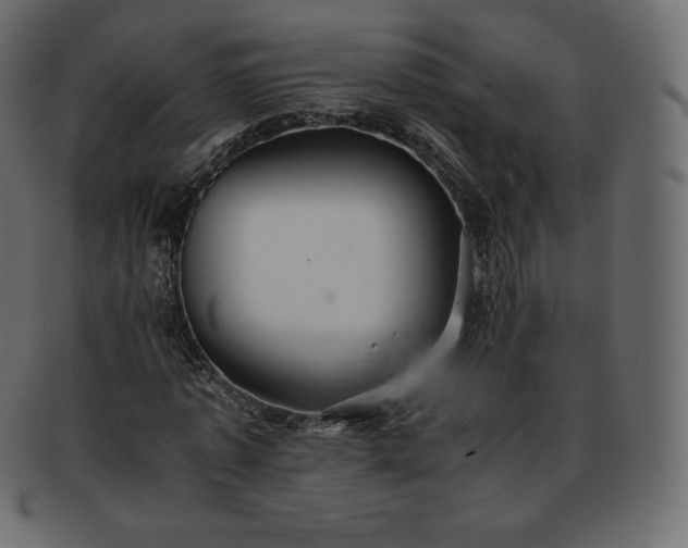 X0000093370773200710191115