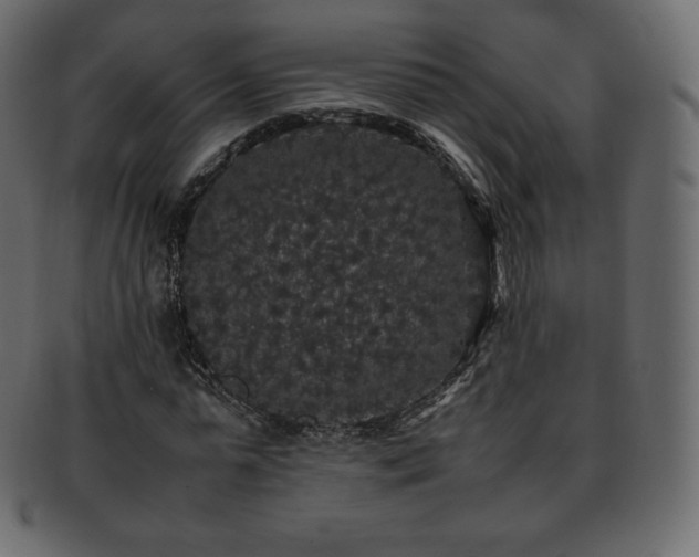 X0000093370775200710191115