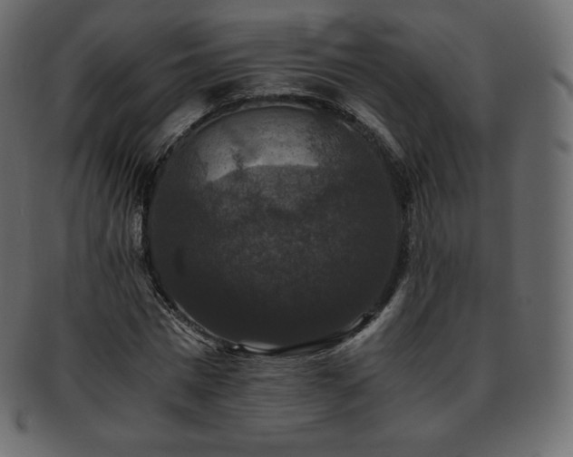 X0000093370777200710191115