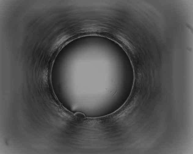 X0000093370778200710191115