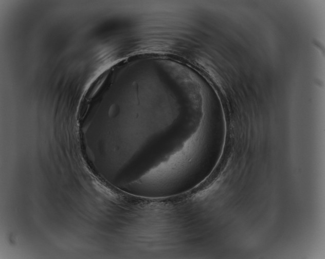 X0000093370779200710191115