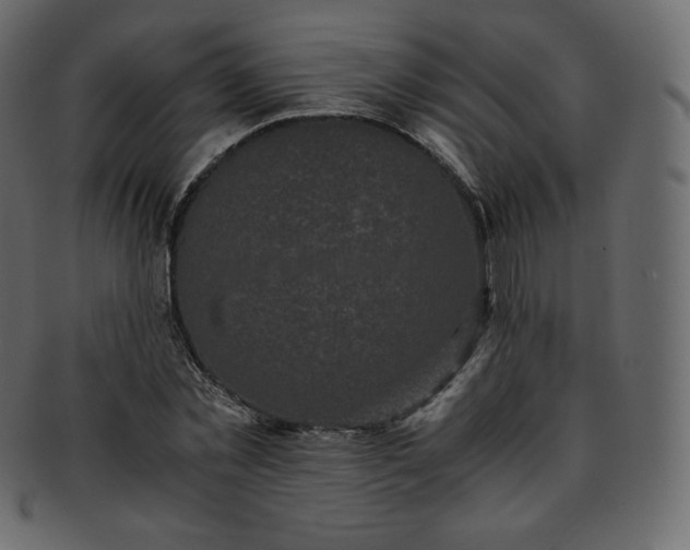 X0000093370781200710191115