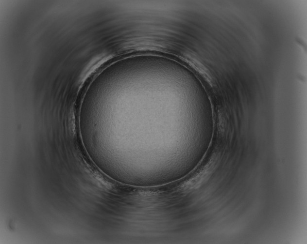 X0000093370782200710191115